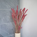 Sétaire Pink Stiefel