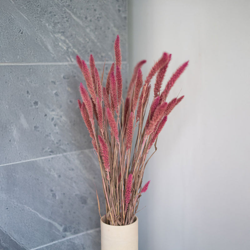 Sétaire Pink Stiefel