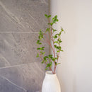 Künstlicher Zweig von Mailand