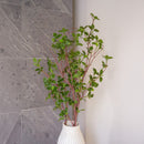 Künstlicher Zweig von Mailand