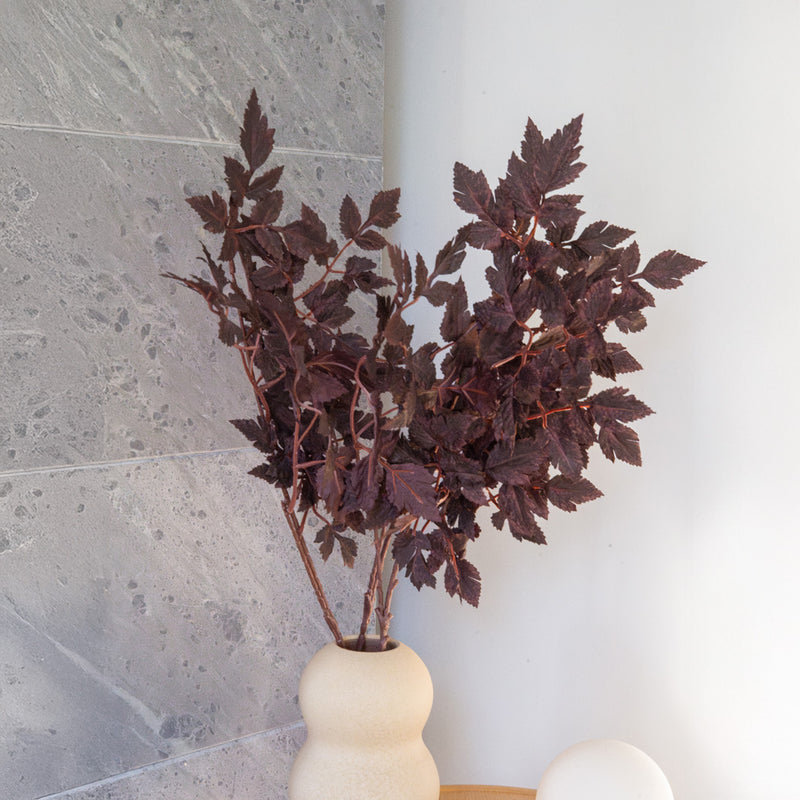 Künstlicher Zweig von Cimicifuga