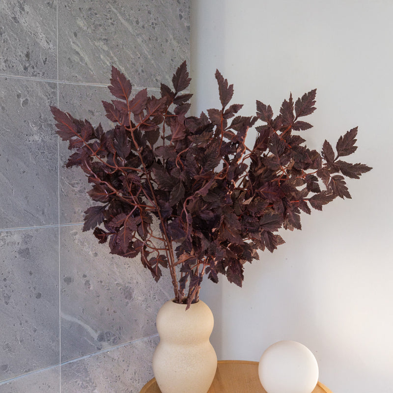 Künstlicher Zweig von Cimicifuga