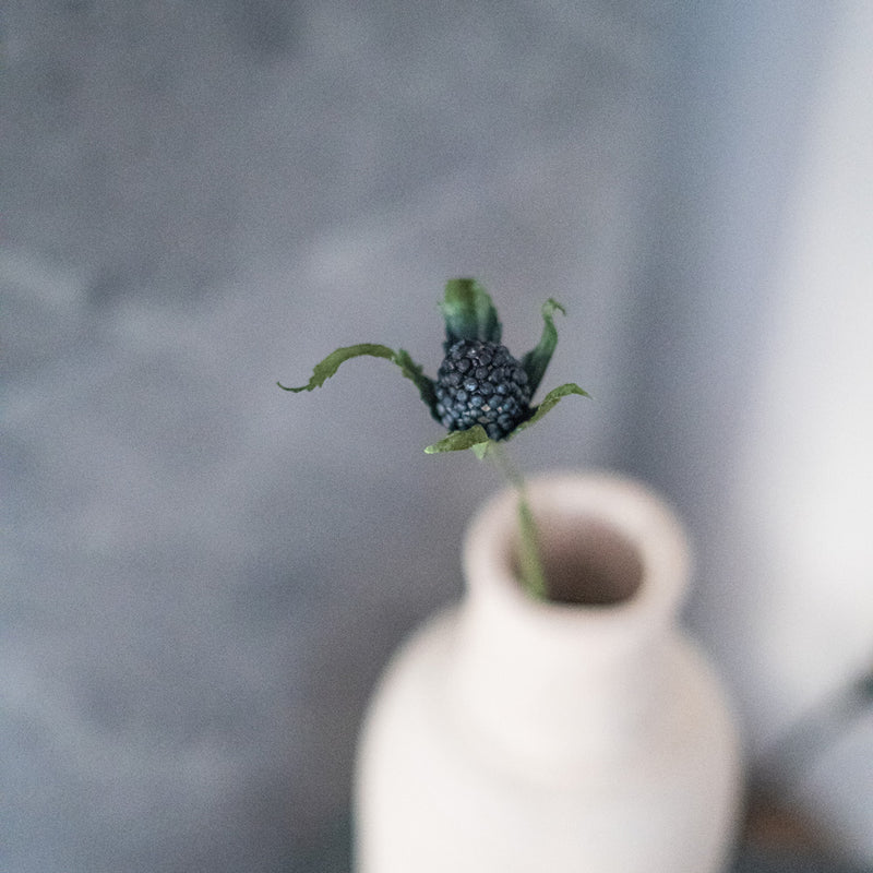 Panicaut-Distel aus türkisblauem Papier