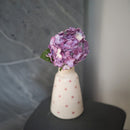 Marmorierte violette Papierhortensie