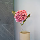 Item3167 Pink Hortensie