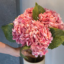 Item3167 Pink Hortensie