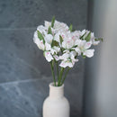 Inka-Lilien in weißem und grünem Papier