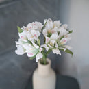 Inka-Lilien in weißem und grünem Papier