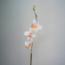 Orchidée Vanda en papier blanc flowrette real touch artificielle