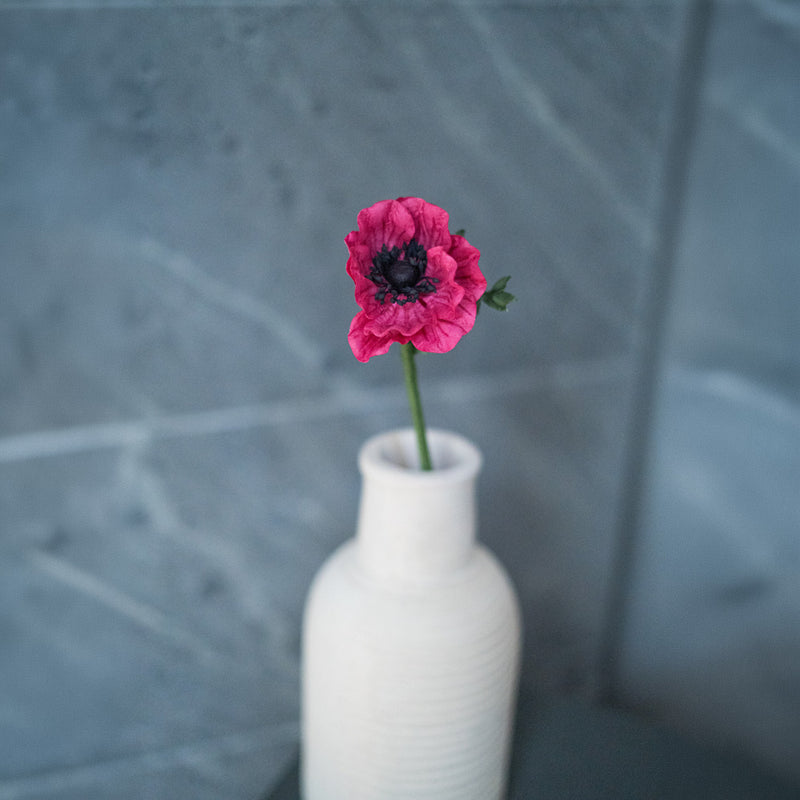 Kleine fuchsiafarbene Papieranemone