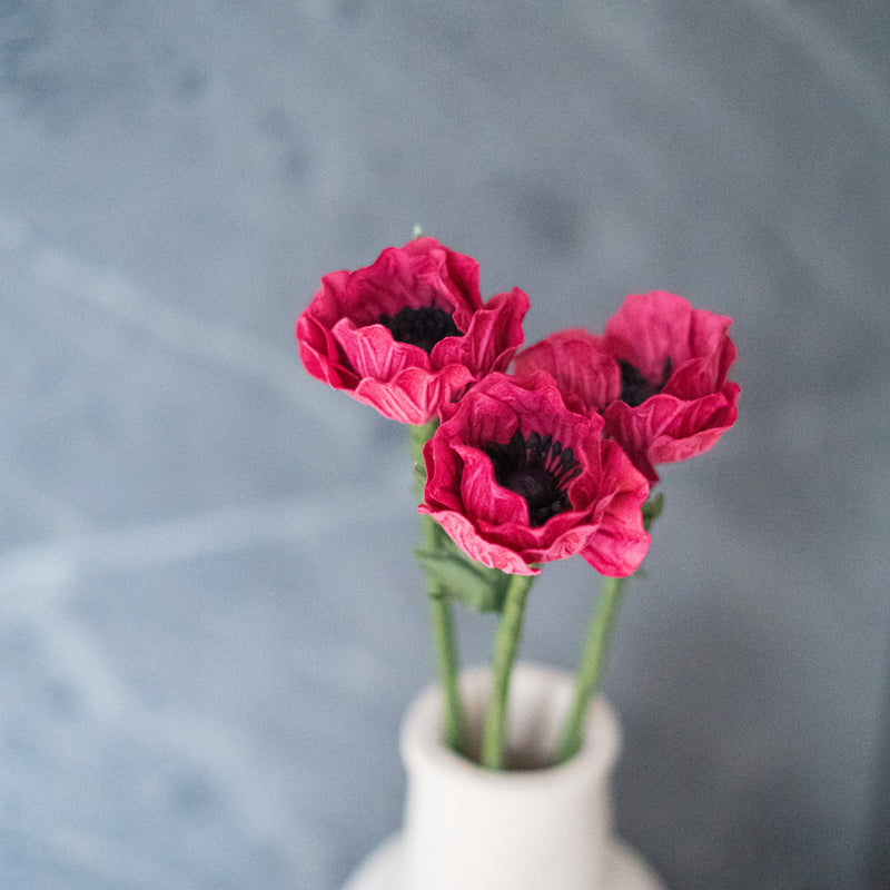 Kleine fuchsiafarbene Papieranemone