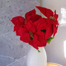 Weihnachtssternstamm