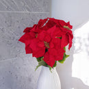 Weihnachtssternstamm