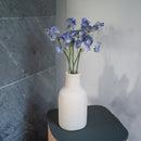 Süße Erbsen in blauem Papier