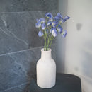 Süße Erbsen in blauem Papier