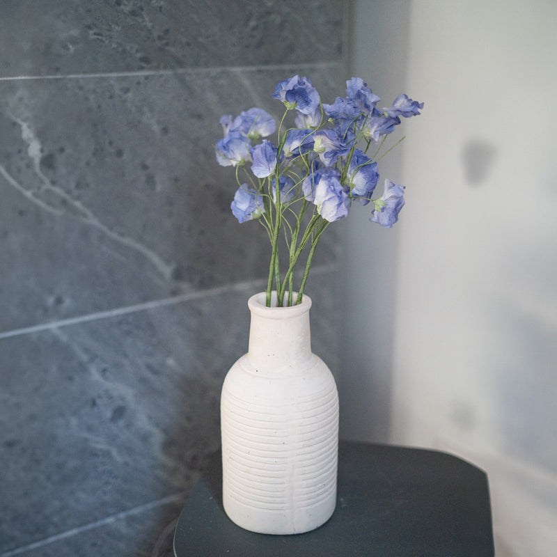 Süße Erbsen in blauem Papier