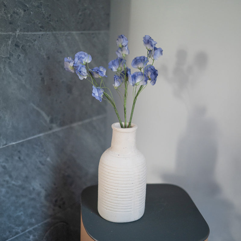 Süße Erbsen in blauem Papier