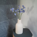 Süße Erbsen in blauem Papier