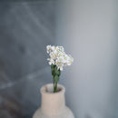 Feenfächerblume aus weißem Papier