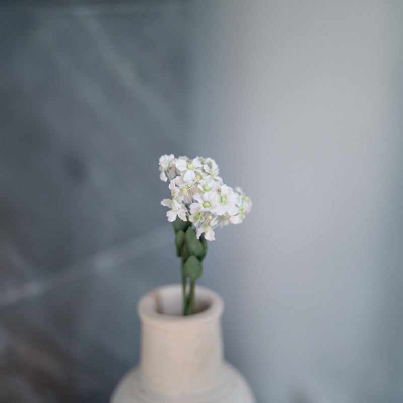 Feenfächerblume aus weißem Papier