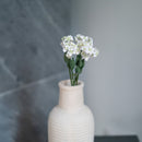 Feenfächerblume aus weißem Papier