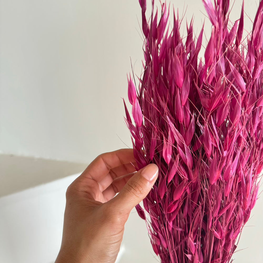 Botte fleurs séchées Avoine Bordeaux (Copy)