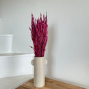 Botte fleurs séchées Avoine Bordeaux (Copy)