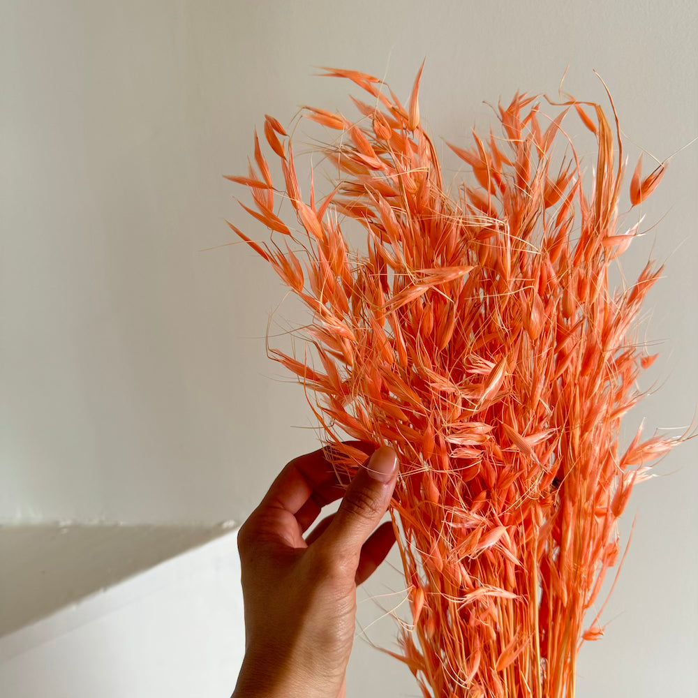 Botte fleurs séchées Avoine Pêche