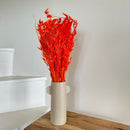 Botte fleurs séchées Avoine Orange foncé