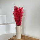 Botte d'Avoine Rouge