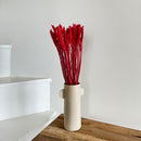 Botte fleurs séchées Blé Rouge