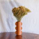 Besen Besen blühen natürlich