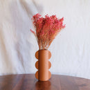 Besenbesenblüte Rose Rose