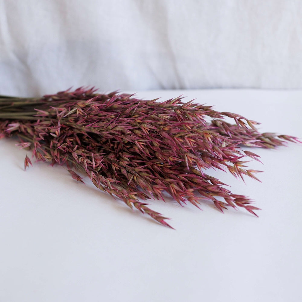 Dunkelrosa Haferschuh