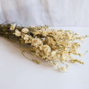 Weißes Delphinium im Stiefel