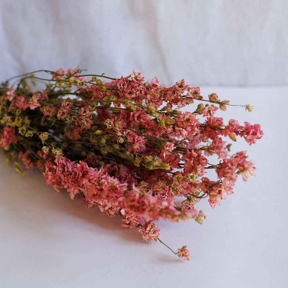 Rosa Delphiniumstiefel