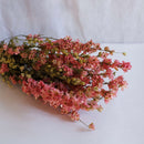 Rosa Delphiniumstiefel