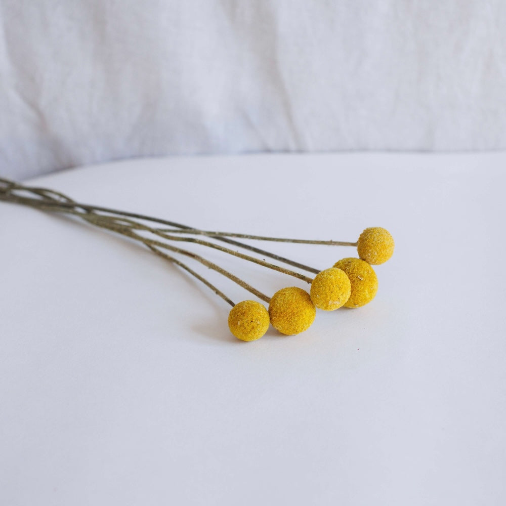 Gelb Craspedas Stiefel