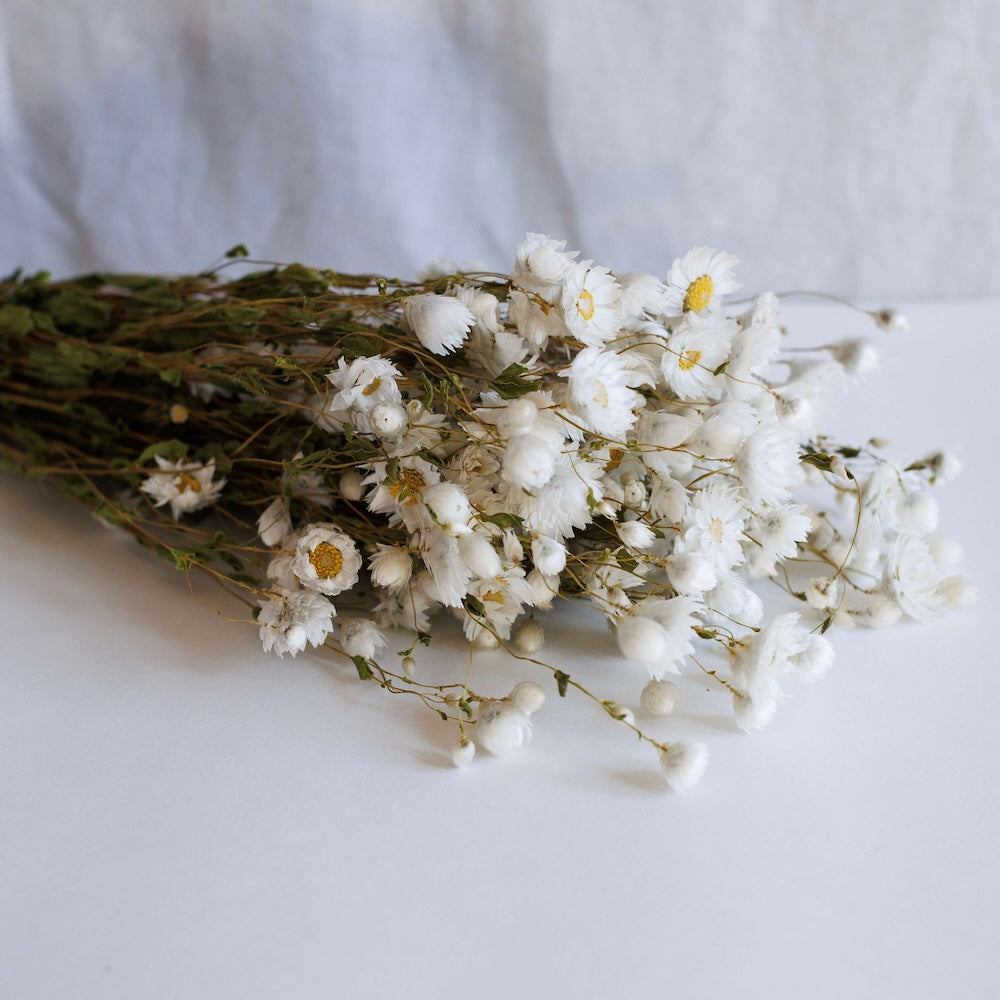 Weißer Rhoding -Stiefel