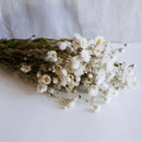 Weißer Rhoding -Stiefel