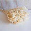 Weißer Besenstiefel