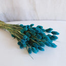 Blue Phalaris Boot Benzin