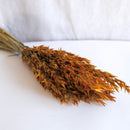 Orangefarbener Haferstiefel