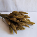 Natürlicher Sitzerschuh