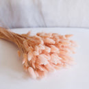 Pastellrosa Lagurus Boot