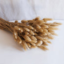 Natürlicher getrockneter Lagurus -Stiefel