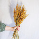 Orangefarbener Haferstiefel