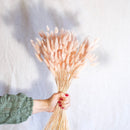 Pastellrosa Lagurus Boot