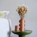 Natürlicher getrockneter Lagurus -Stiefel