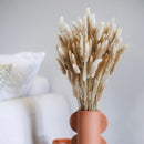 Natürlicher getrockneter Lagurus -Stiefel